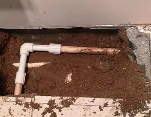 福泉测漏水哪家好