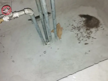 福泉卫生间测漏水价格明细